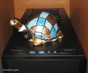 Little Ugly Turtle Saves the Day!